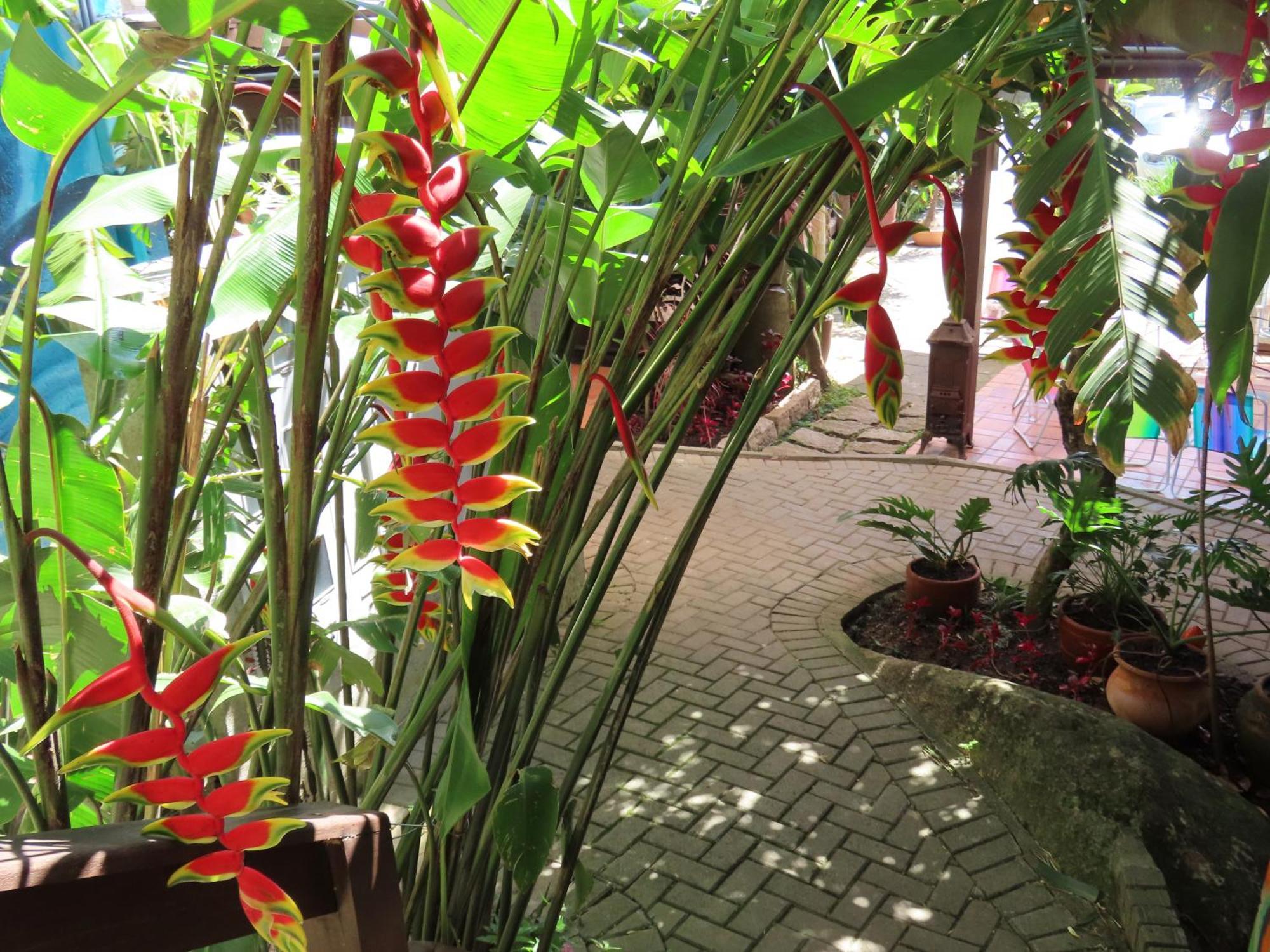 Patio Floriparadise Florianópolis Zewnętrze zdjęcie